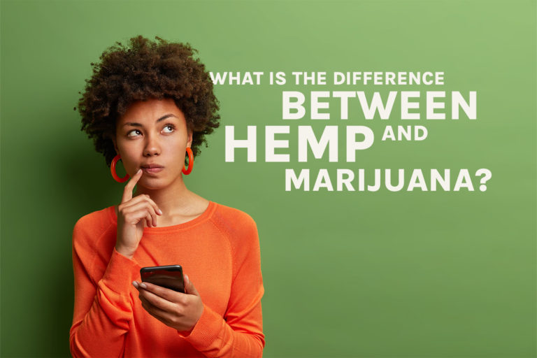 Hemp Vs Marijuana – What’s The Difference? – Green Stem CBD